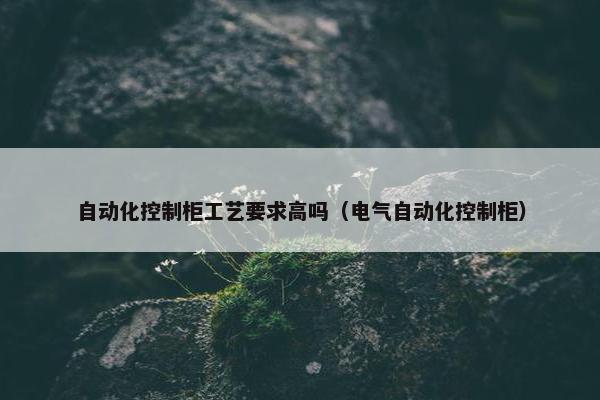 自动化控制柜工艺要求高吗（电气自动化控制柜）