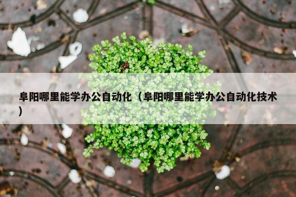 阜阳哪里能学办公自动化（阜阳哪里能学办公自动化技术）