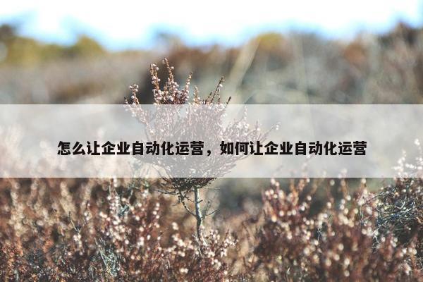 怎么让企业自动化运营，如何让企业自动化运营