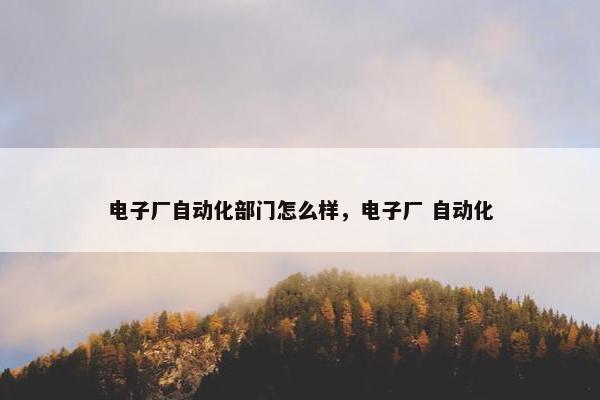 电子厂自动化部门怎么样，电子厂 自动化