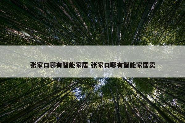 张家口哪有智能家居 张家口哪有智能家居卖