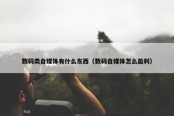 数码类自媒体有什么东西（数码自媒体怎么盈利）