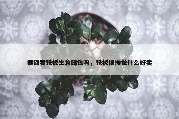 摆摊卖铁板生意赚钱吗，铁板摆摊做什么好卖