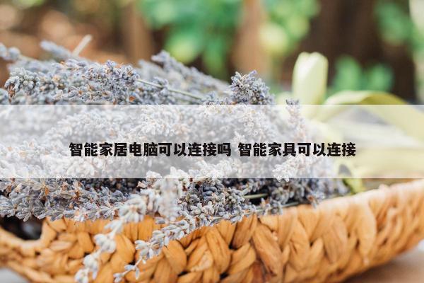 智能家居电脑可以连接吗 智能家具可以连接