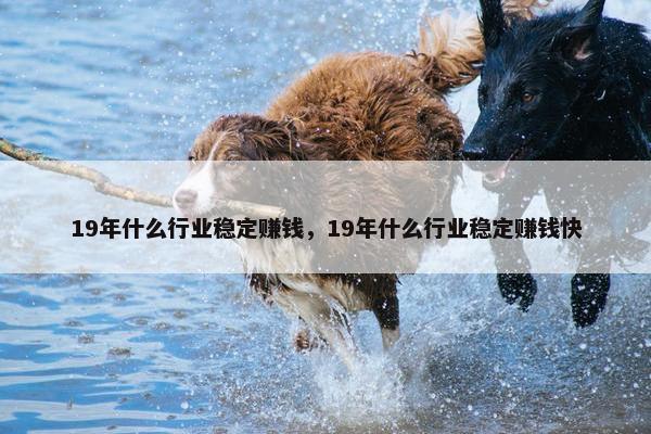 19年什么行业稳定赚钱，19年什么行业稳定赚钱快