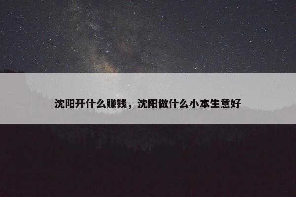 沈阳开什么赚钱，沈阳做什么小本生意好