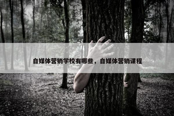 自媒体营销学校有哪些，自媒体营销课程