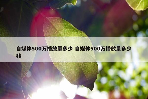 自媒体500万播放量多少 自媒体500万播放量多少钱