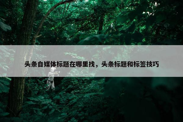 头条自媒体标题在哪里找，头条标题和标签技巧