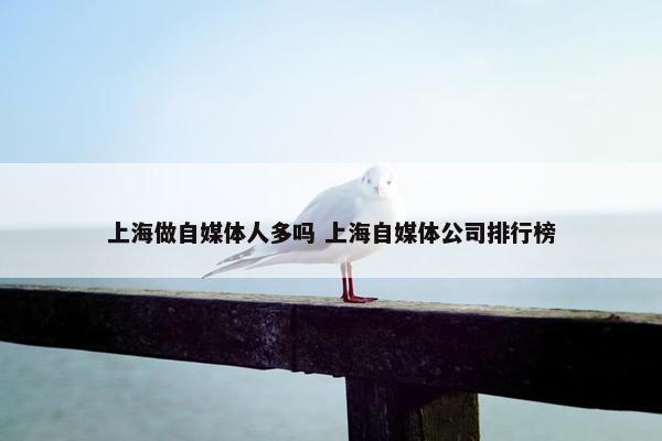 上海做自媒体人多吗 上海自媒体公司排行榜