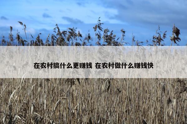 在农村搞什么更赚钱 在农村做什么赚钱快