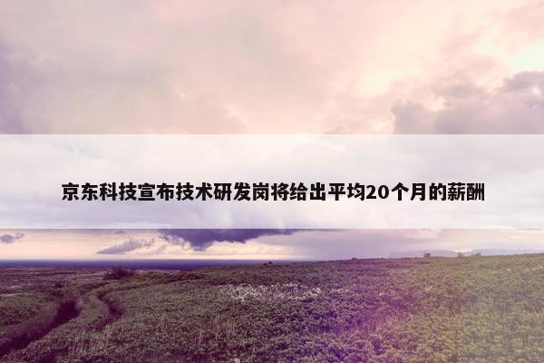 京东科技宣布技术研发岗将给出平均20个月的薪酬