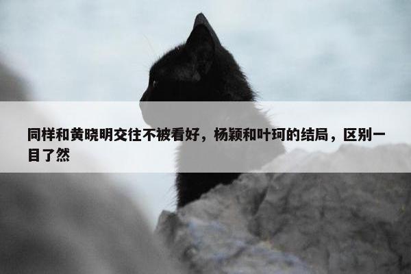 同样和黄晓明交往不被看好，杨颖和叶珂的结局，区别一目了然