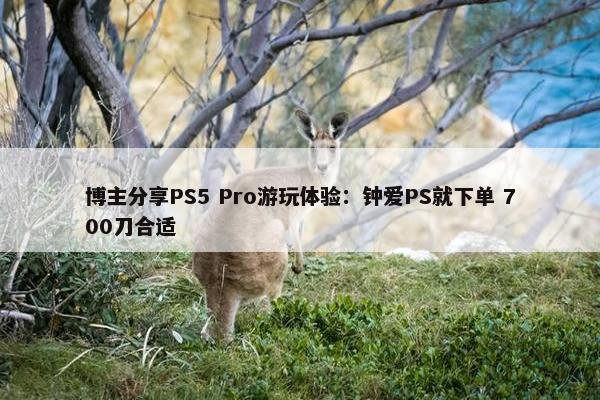 博主分享PS5 Pro游玩体验：钟爱PS就下单 700刀合适