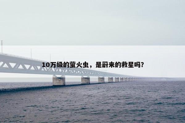 10万级的萤火虫，是蔚来的救星吗？