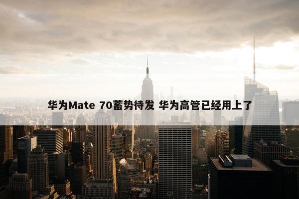 华为Mate 70蓄势待发 华为高管已经用上了