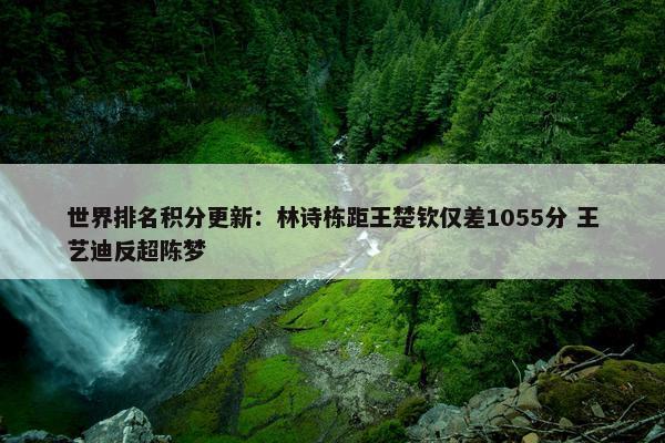 世界排名积分更新：林诗栋距王楚钦仅差1055分 王艺迪反超陈梦