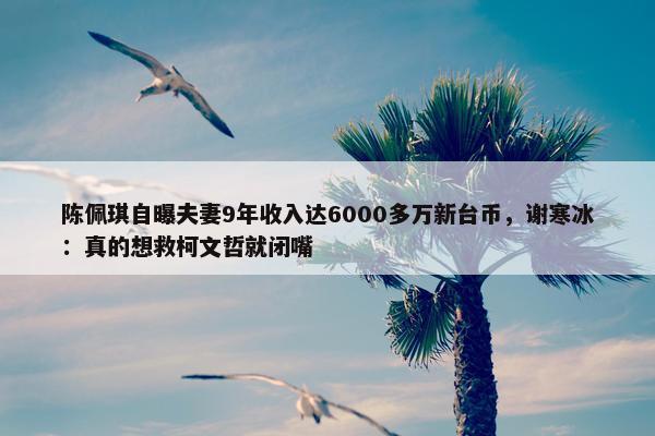 陈佩琪自曝夫妻9年收入达6000多万新台币，谢寒冰：真的想救柯文哲就闭嘴