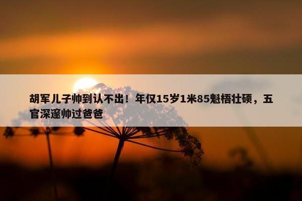 胡军儿子帅到认不出！年仅15岁1米85魁梧壮硕，五官深邃帅过爸爸