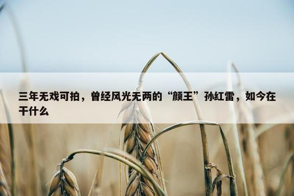 三年无戏可拍，曾经风光无两的“颜王”孙红雷，如今在干什么