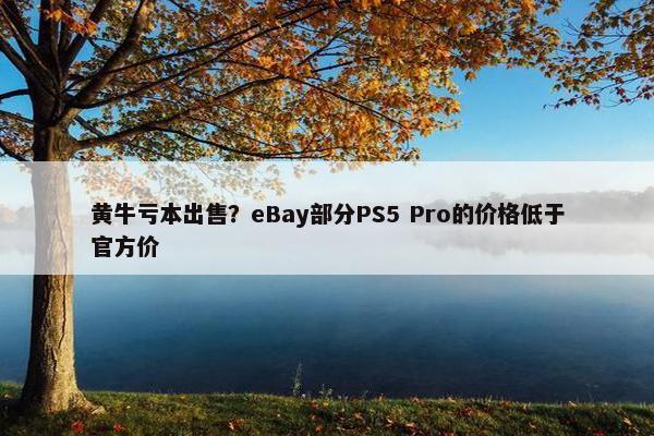 黄牛亏本出售？eBay部分PS5 Pro的价格低于官方价