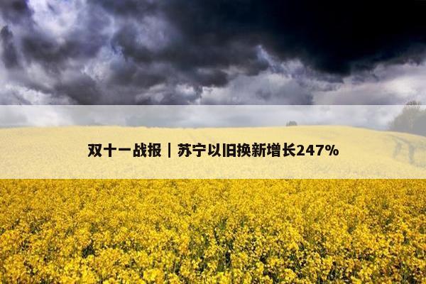 双十一战报｜苏宁以旧换新增长247%