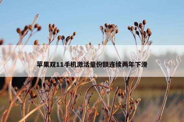 苹果双11手机激活量份额连续两年下滑