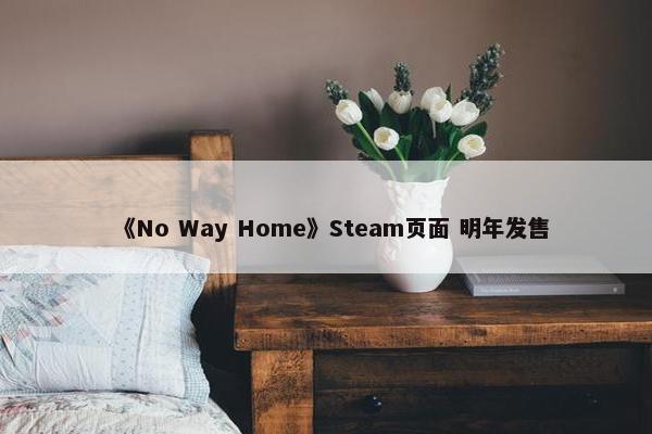 《No Way Home》Steam页面 明年发售