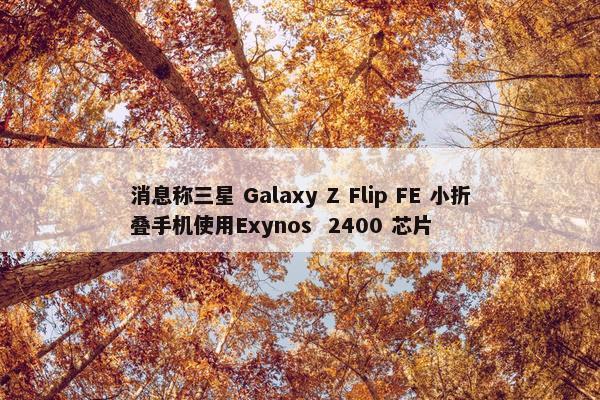 消息称三星 Galaxy Z Flip FE 小折叠手机使用Exynos  2400 芯片