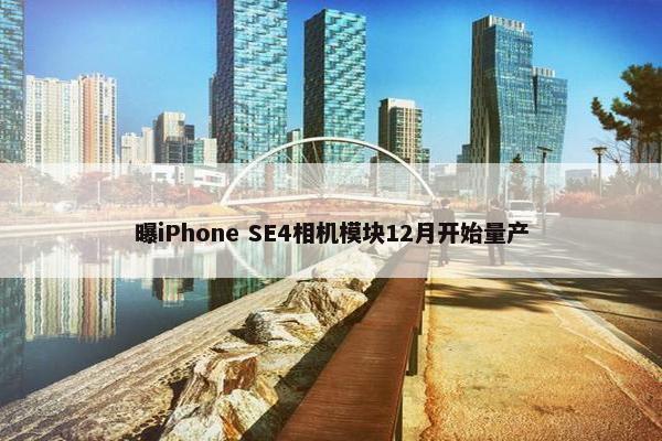 曝iPhone SE4相机模块12月开始量产