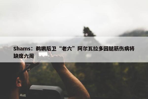 Shams：鹈鹕后卫“老六”阿尔瓦拉多因腿筋伤病将缺席六周