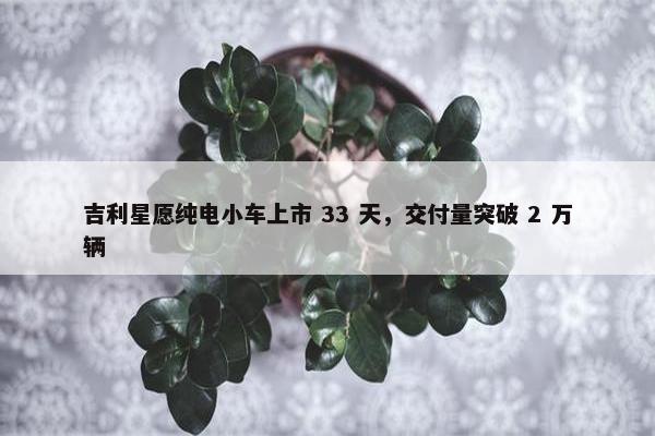 吉利星愿纯电小车上市 33 天，交付量突破 2 万辆