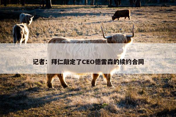 记者：拜仁敲定了CEO德雷森的续约合同