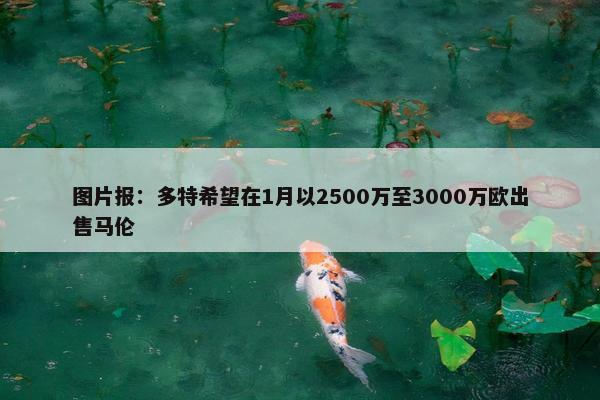 图片报：多特希望在1月以2500万至3000万欧出售马伦