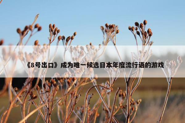 《8号出口》成为唯一候选日本年度流行语的游戏