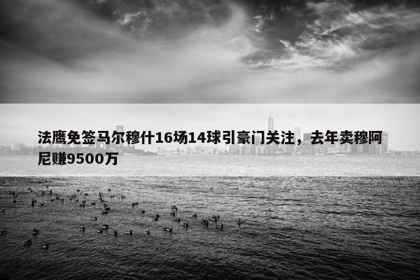 法鹰免签马尔穆什16场14球引豪门关注，去年卖穆阿尼赚9500万