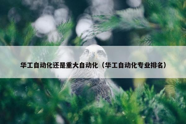 华工自动化还是重大自动化（华工自动化专业排名）