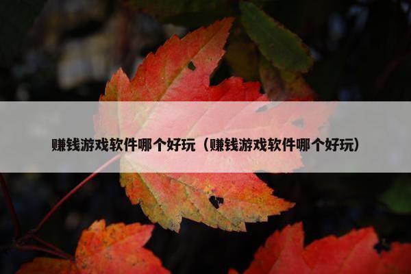 赚钱游戏软件哪个好玩（赚钱游戏软件哪个好玩）