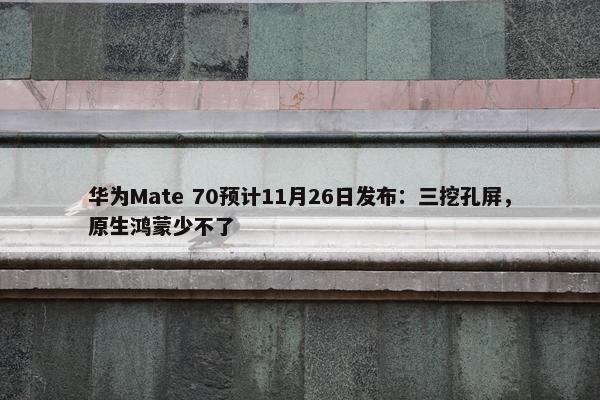 华为Mate 70预计11月26日发布：三挖孔屏，原生鸿蒙少不了