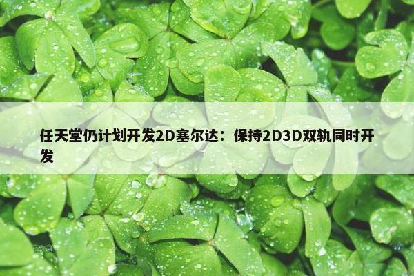 任天堂仍计划开发2D塞尔达：保持2D3D双轨同时开发