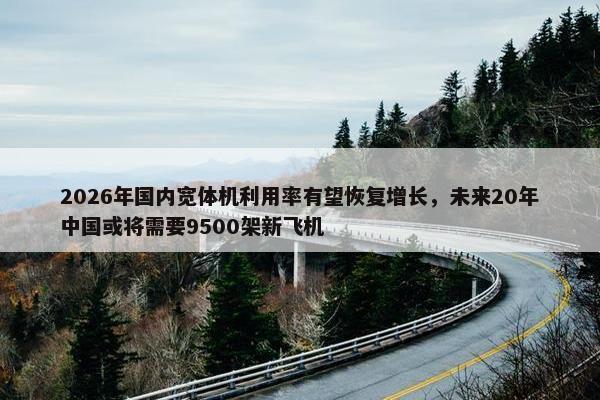 2026年国内宽体机利用率有望恢复增长，未来20年中国或将需要9500架新飞机