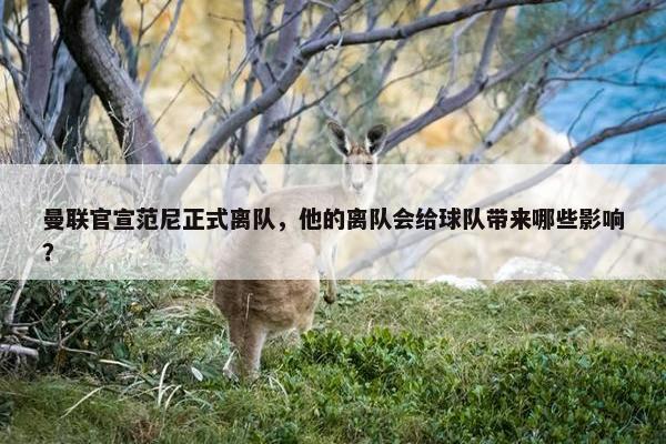 曼联官宣范尼正式离队，他的离队会给球队带来哪些影响？