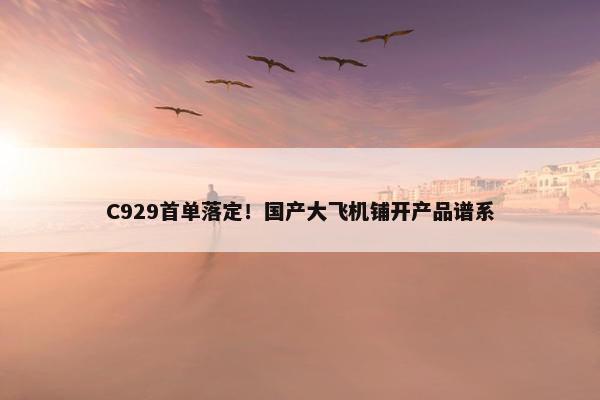 C929首单落定！国产大飞机铺开产品谱系