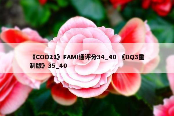 《COD21》FAMI通评分34_40 《DQ3重制版》35_40