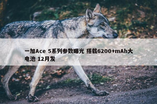 一加Ace 5系列参数曝光 搭载6200+mAh大电池 12月发