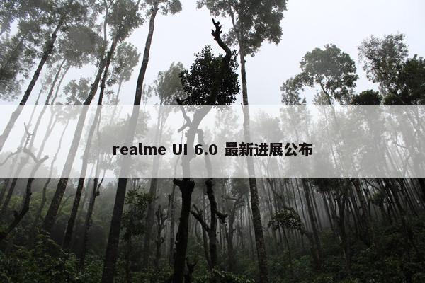 realme UI 6.0 最新进展公布