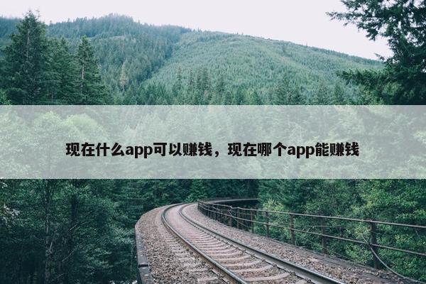 现在什么app可以赚钱，现在哪个app能赚钱