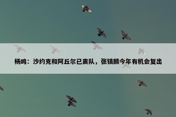 杨鸣：沙约克和阿丘尔已离队，张镇麟今年有机会复出