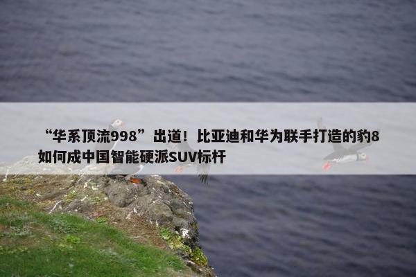 “华系顶流998”出道！比亚迪和华为联手打造的豹8如何成中国智能硬派SUV标杆