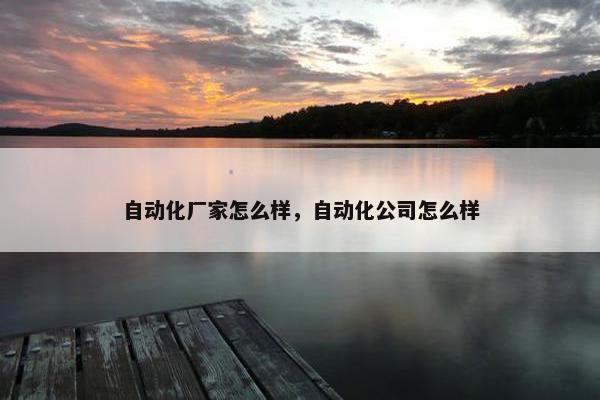 自动化厂家怎么样，自动化公司怎么样